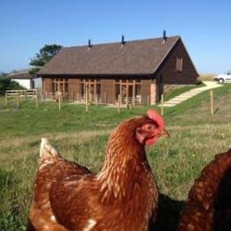 Bike Shed - Beautiful 1-Bed Cottage In Shorwell Εξωτερικό φωτογραφία