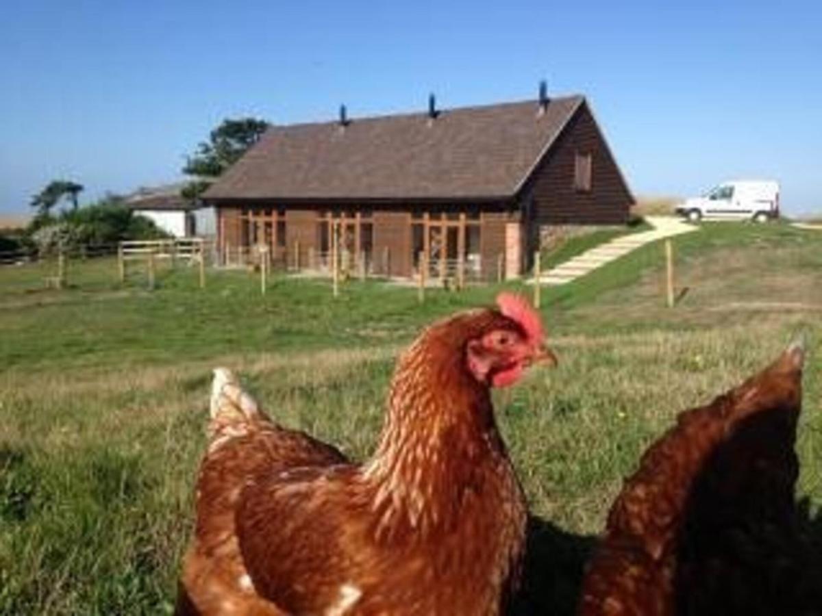 Bike Shed - Beautiful 1-Bed Cottage In Shorwell Εξωτερικό φωτογραφία